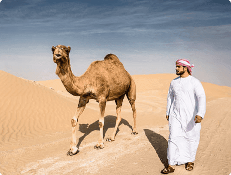 view of desert and camel